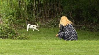 Race From The White House 2004