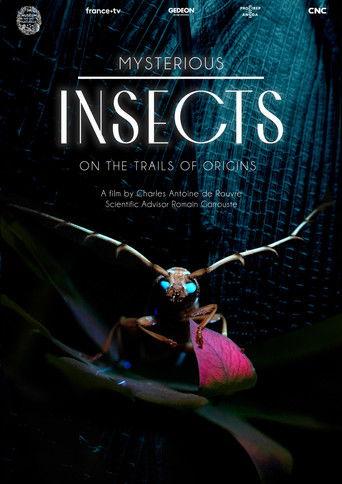 Mysterious Origins of Insects film afişi