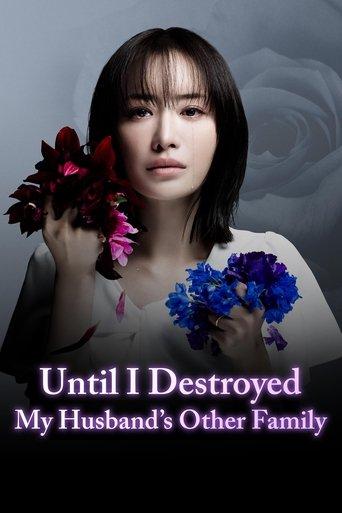 Until I Destroyed My Husband's Other Family dizi afişi