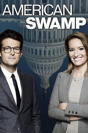American Swamp dizi afişi