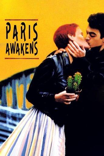 Paris Awakens film afişi