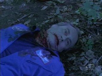 The Infestation / Human Apportation