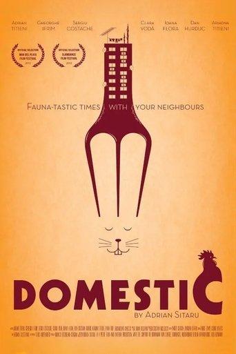Domestic film afişi
