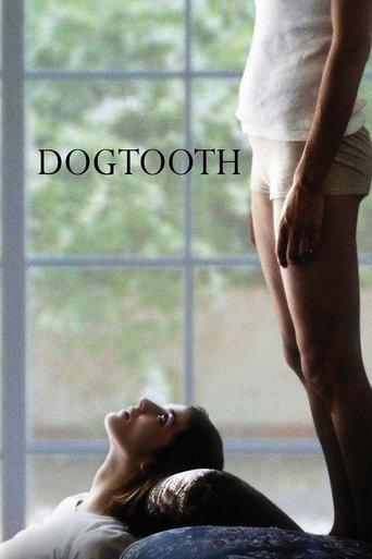 Dogtooth film afişi