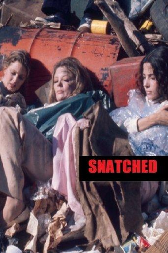 Snatched film afişi