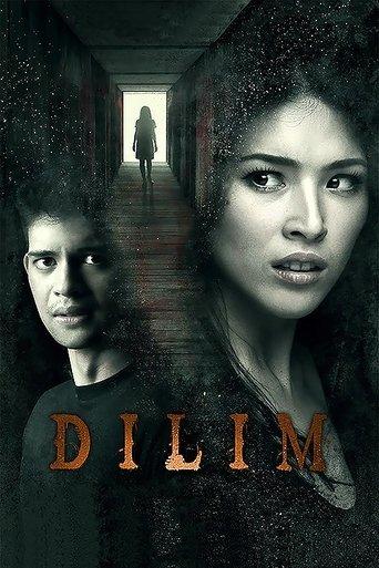 Dilim film afişi