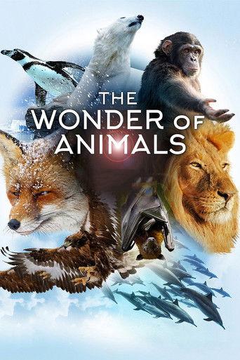 The Wonder of Animals dizi afişi