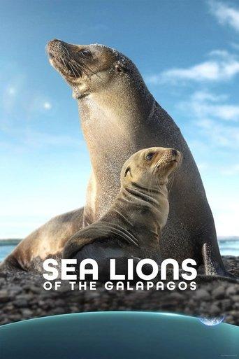 Sea Lions of the Galapagos film afişi