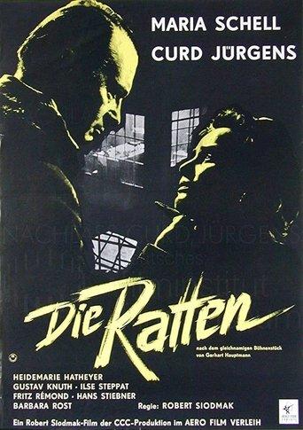 The Rats film afişi