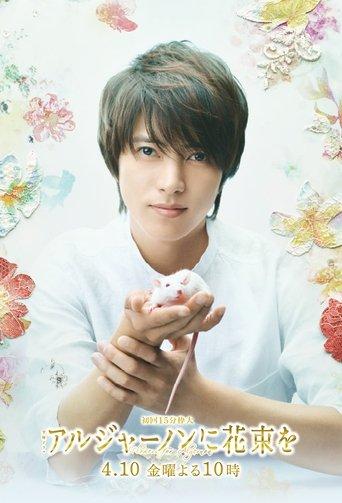 Flowers for Algernon dizi afişi