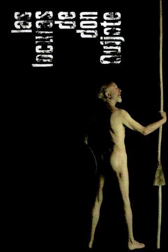 Las locuras de don Quijote film afişi