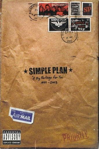 Simple Plan: A Big Package for You film afişi