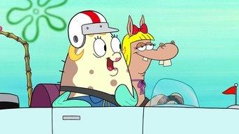 Exchange Student Driver