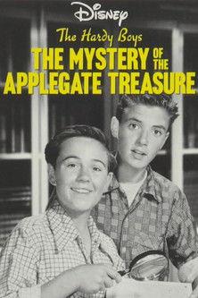 The Hardy Boys: The Mystery of the Applegate Treasure film afişi