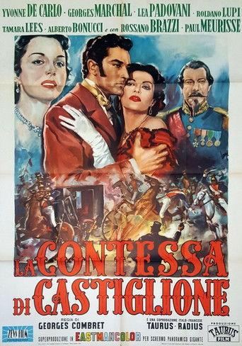 The Contessa's Secret film afişi