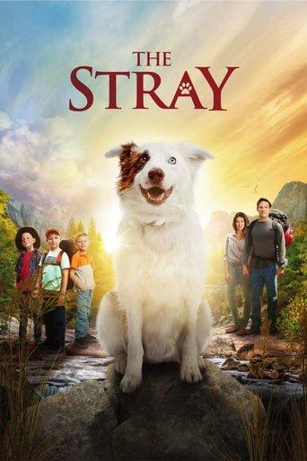 The Stray film afişi