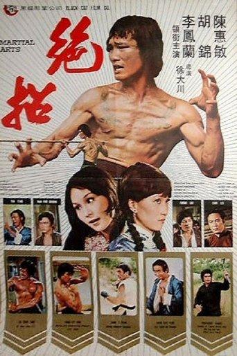 Martial Arts film afişi