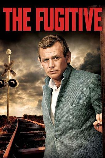 The Fugitive dizi afişi