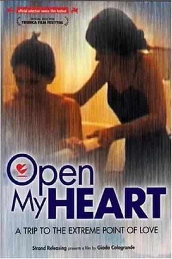 Open My Heart film afişi