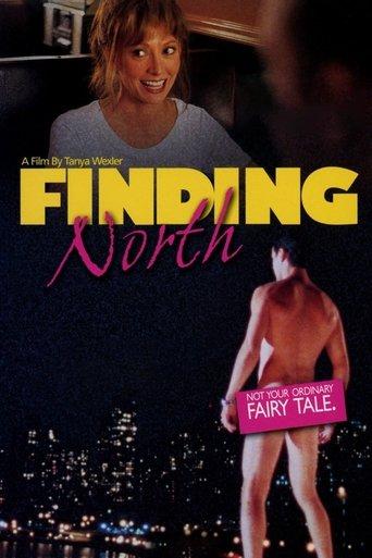 Finding North film afişi