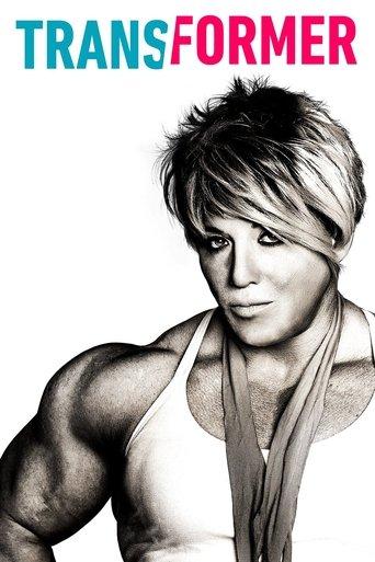 Transformer film afişi