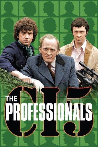The Professionals dizi afişi