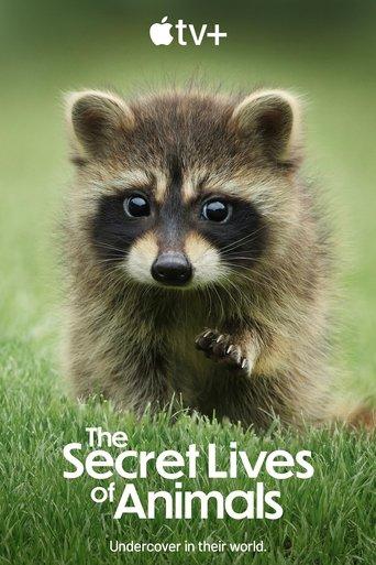 The Secret Lives of Animals dizi afişi