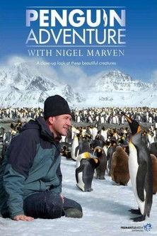 Penguin Adventure with Nigel Marven dizi afişi