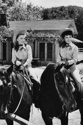 The New Adventures of Spin and Marty dizi afişi