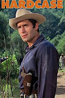 Hardcase film afişi