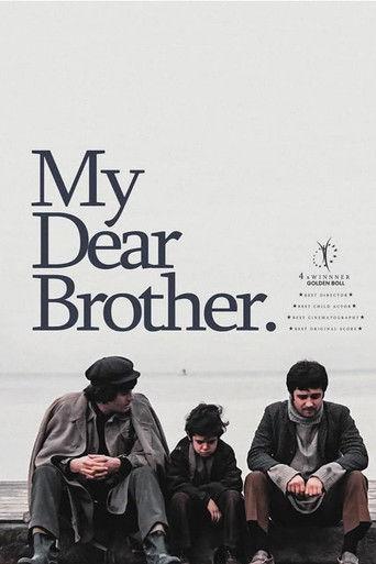 My Dear Brother film afişi
