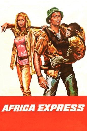 Africa Express film afişi