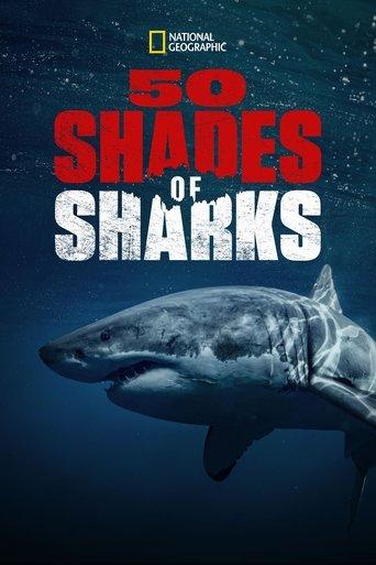 50 Shades of Sharks film afişi
