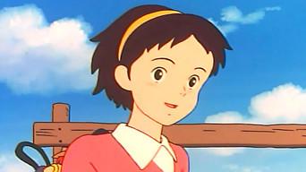 Welcome to Plumfield