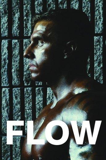 Flow film afişi