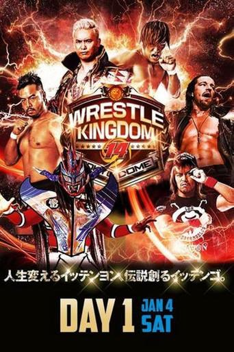 NJPW Wrestle Kingdom 14: Night 1 film afişi