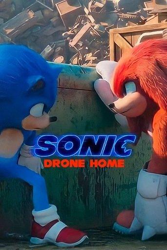 Sonic Drone Home film afişi