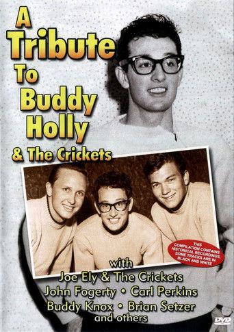 A Tribute To Buddy Holly And The Crickets film afişi