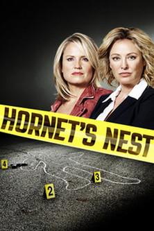 Hornet's Nest film afişi