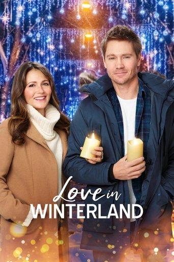 Love in Winterland film afişi