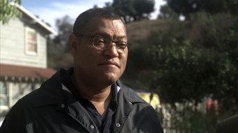 Deep Fried and Minty Fresh