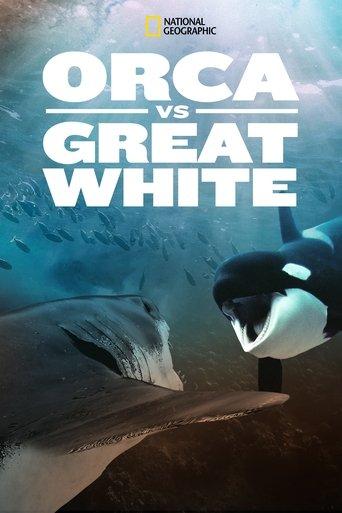 Orca Vs. Great White film afişi