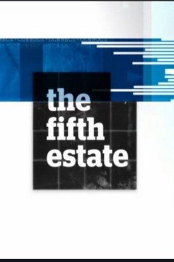 The Fifth Estate dizi afişi