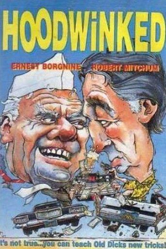 Hoodwinked film afişi