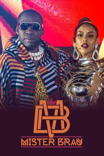 Mister Brau dizi afişi