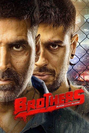 Brothers film afişi