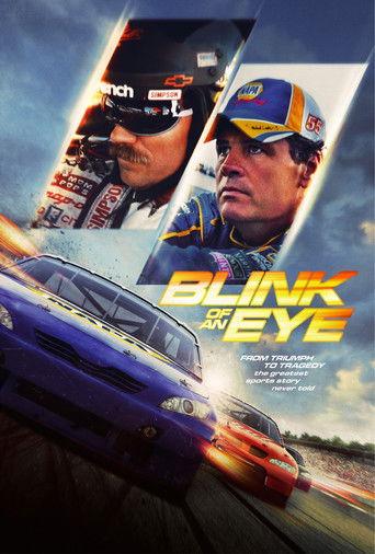 Blink of an Eye film afişi