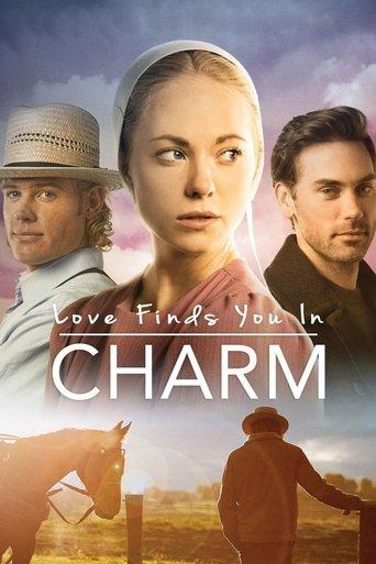 Love Finds You in Charm film afişi