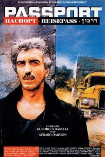 The Passport film afişi