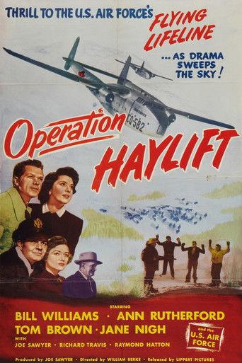 Operation Haylift film afişi